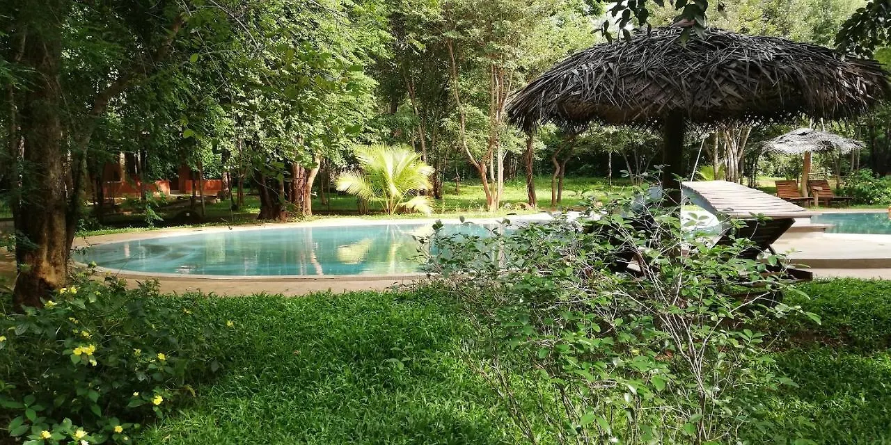 Kuwera Eco Lodge Sigiriya