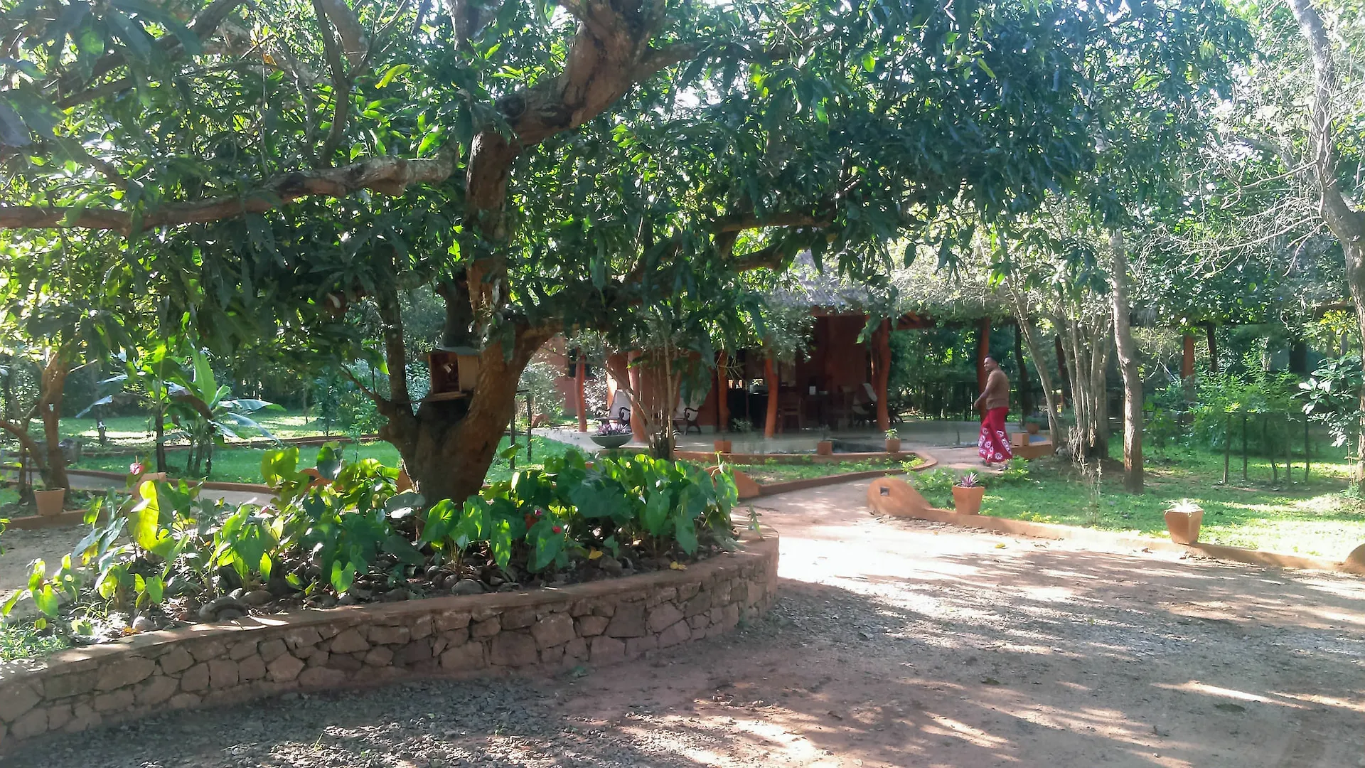 Hotel Kuwera Eco Lodge Sigiriya