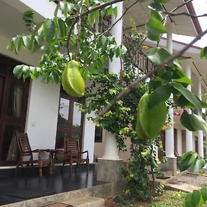 Gasthof Goddess Garden, Sigiriya