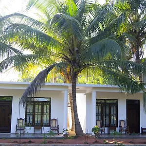 Shady Mango Sigirîya